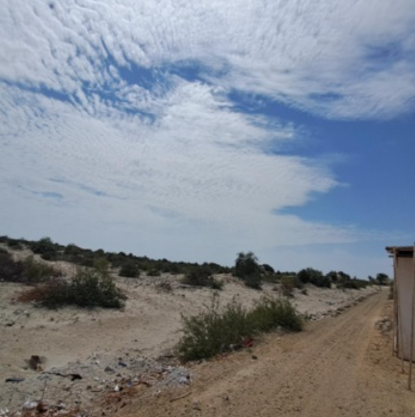 Lote 03